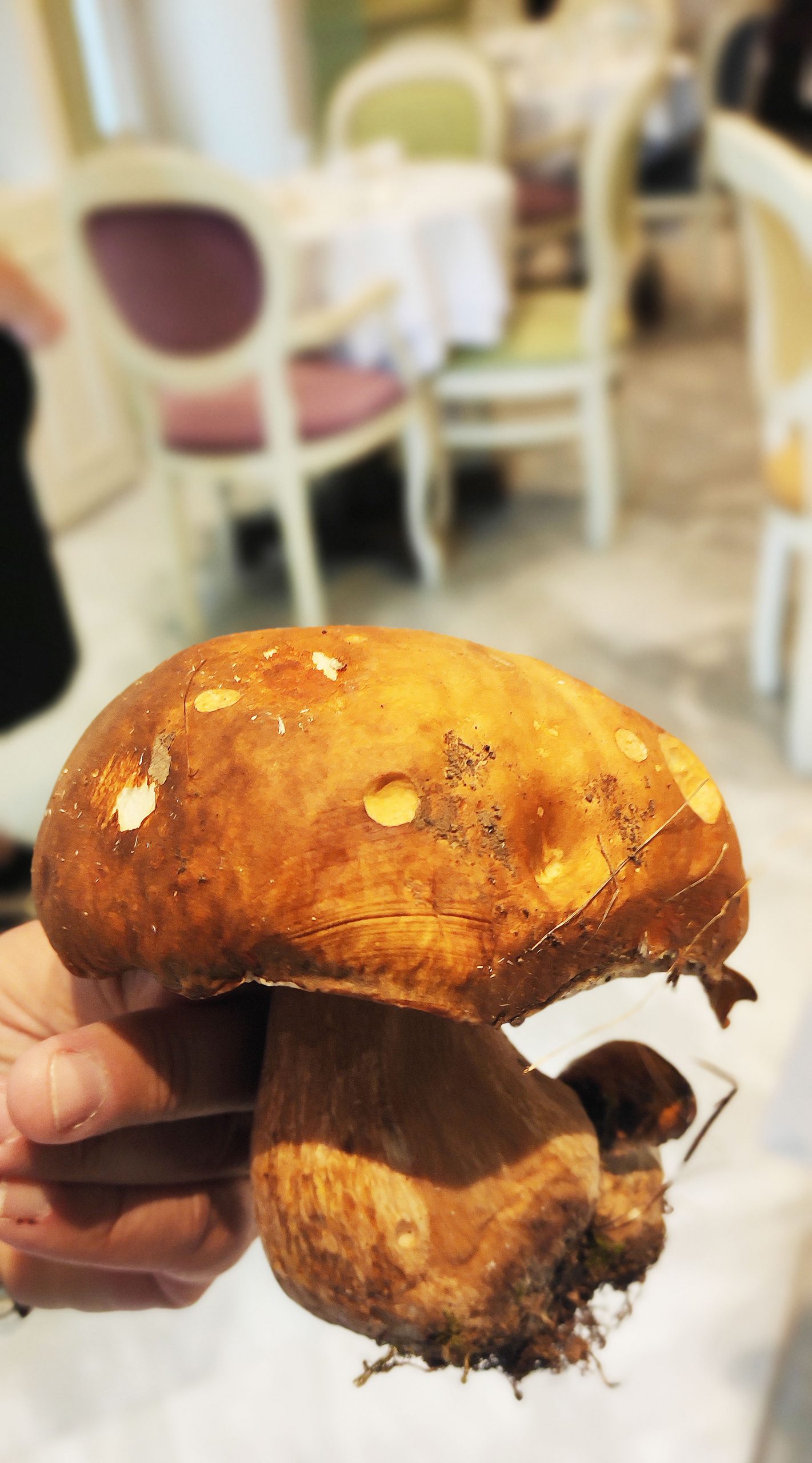 italian taste valletta